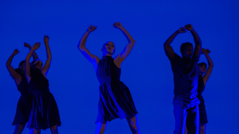 5-3_800x450_acf_cropped