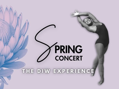The DIW Experience 2025